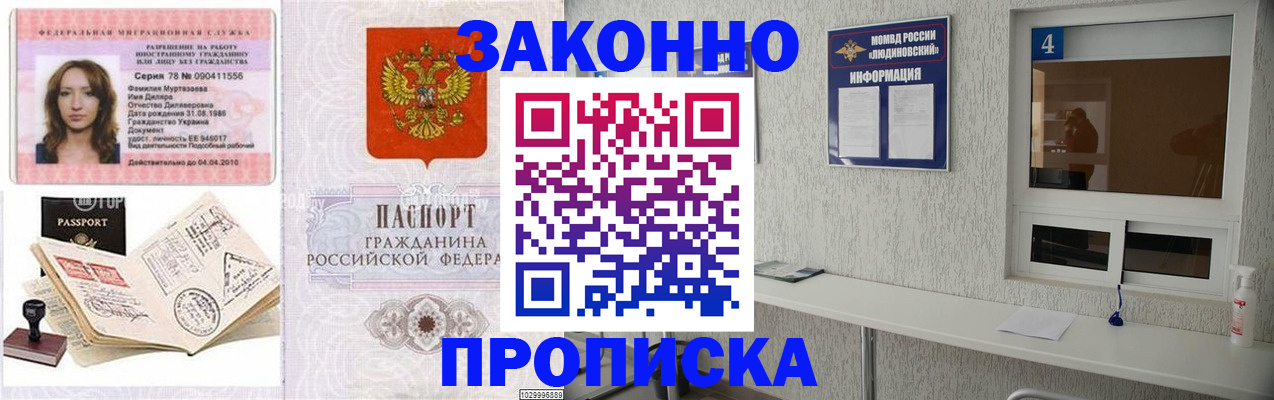 прописка в квартире в Тайге